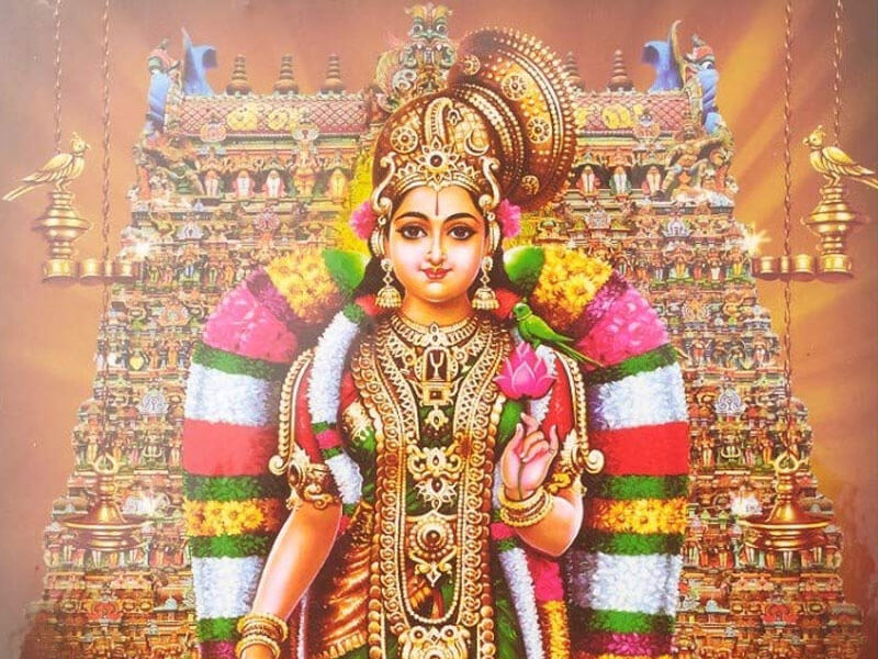 கறவைகள் பின்சென்று